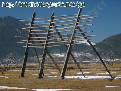 Drying Rack - Bilder/Fotografien