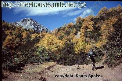 mountainbiking - Bilder/Fotografien