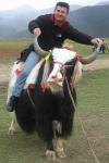 Wocca On Yak