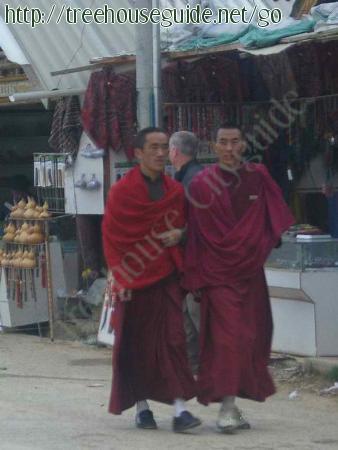 Street Monks - Pictures/Photography