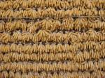 Wall of Corn Drying in the Sun