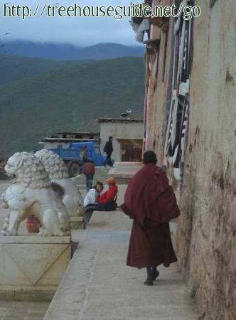 Monk Walk - Pictures/Photography