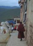 Monk Walk
