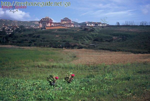 Monastery - Pictures/Photography