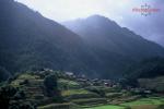 Niru