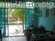 New location of Forest Cafe in Jinghong - Pictures/Photography