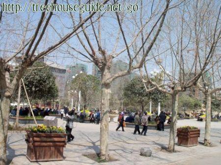 Typical scene in downtown Zhaotong, Yunnan - Pictures/Photography