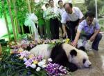 Mei Mei Funeral