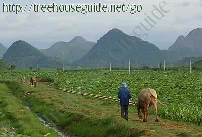 Karst Topography - Pictures/Photography