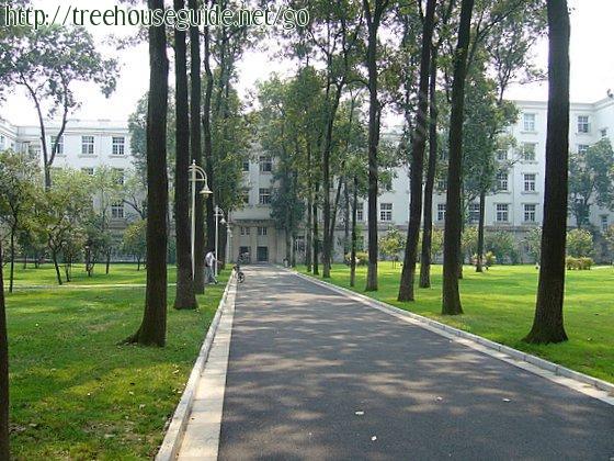 Campus Green - Pictures/Photography