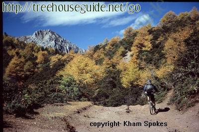 mountainbiking - Pictures/Photography