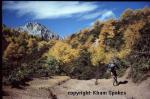 mountainbiking