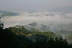 scenery
