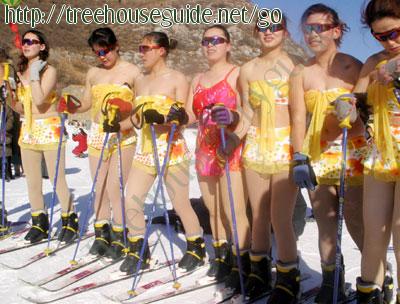bikini skiing - Pictures/Photography