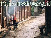 morning - Pictures/Photography