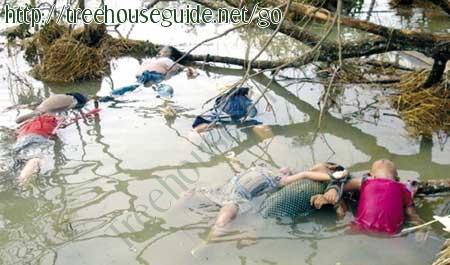 Sichuan Wenchuan quake  - Pictures/Photography