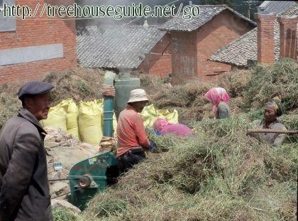 Near Qujing, Yunnan - villagers labor - Pictures/Photography