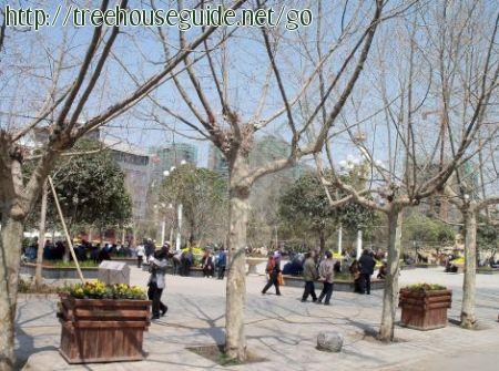 Typical scene in downtown Zhaotong, Yunnan - Pictures/Photography