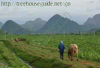 Karst Topography - Pictures/Photography