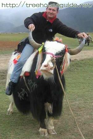 Wocca On Yak - Pictures/Photography