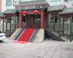 new dragon的无名照片