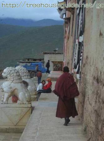 Monk Walk - Pictures/Photography