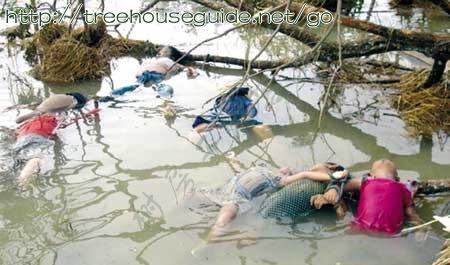 Sichuan Wenchuan quake  - Pictures/Photography