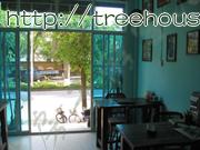 New location of Forest Cafe in Jinghong - Pictures/Photography