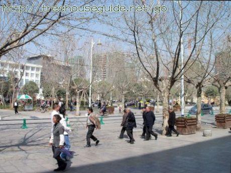 Downtown Zhaotong, Yunnan - Mid March, 2012 - Pictures/Photography