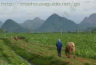 Karst Topography - Pictures/Photography