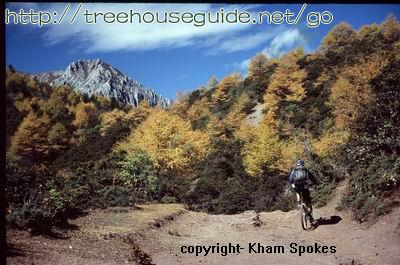 mountainbiking - Pictures/Photography