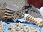 Lizards on a stick